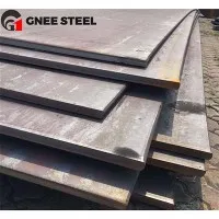 09MNNIDR SPOLEČNOST